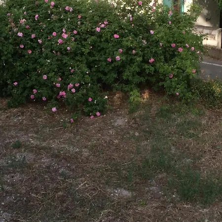 Lägenhet Ayios Nicolaos River Park Pera Pedi