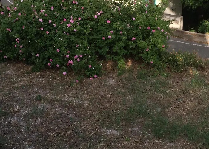 Apartmán Ayios Nicolaos River Park Pera Pedi